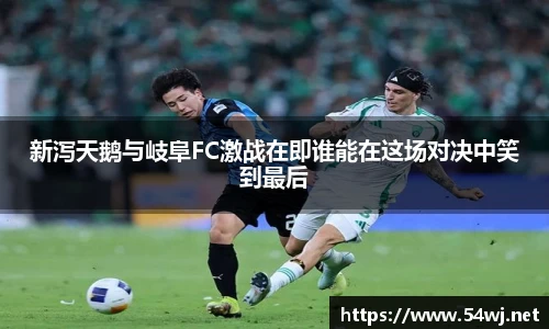 新泻天鹅与岐阜FC激战在即谁能在这场对决中笑到最后