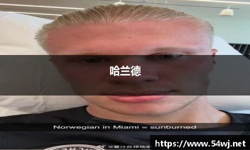 6163银河net163